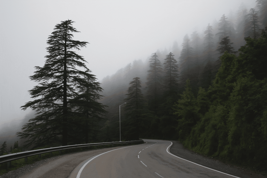Places to Visit in Shimla - Kufri